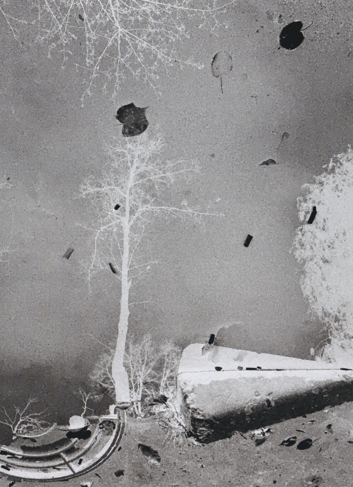 Photo Print by Alexander Chernavskiy from "Made by X" Collection