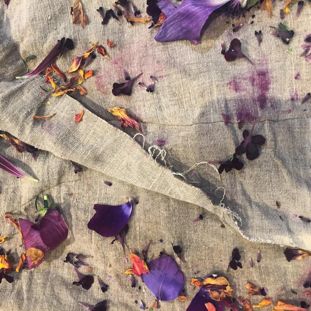 Natural Dyeing with Cara Marie Piazza