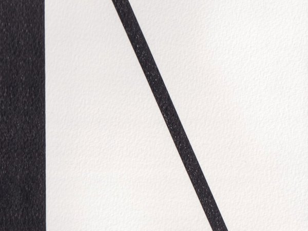 Diptych Drawing by Shatrudhan K. Gupta from "Made by X" Collection