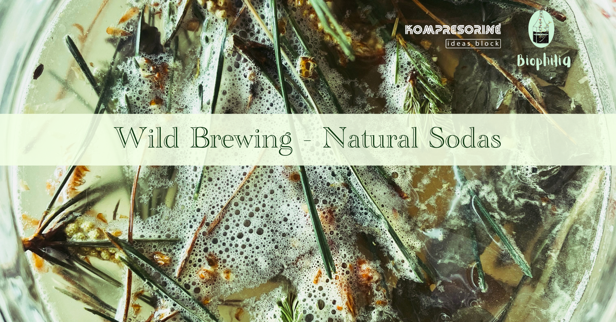 FERMENTATION WORKSHOP: Wild Brewing - Natural Sodas